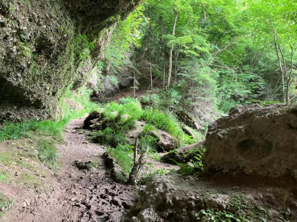 Silberlbach-Wasserfall Trail