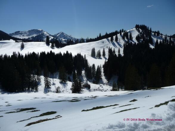 beim Abstieg: Blick über die Rossalm nach Westen