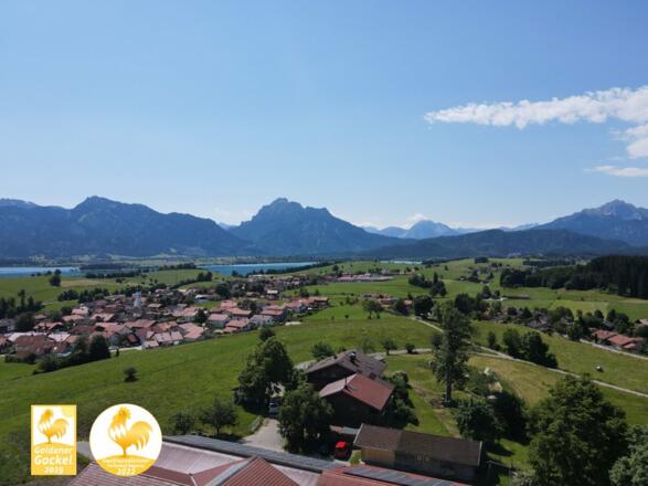 Goldener Gockel 2019 + 2022 herzliche Gastgeber