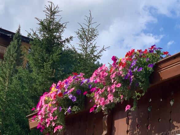 Sommer2022_4