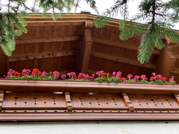 Dachgiebel_BalkonBlumen