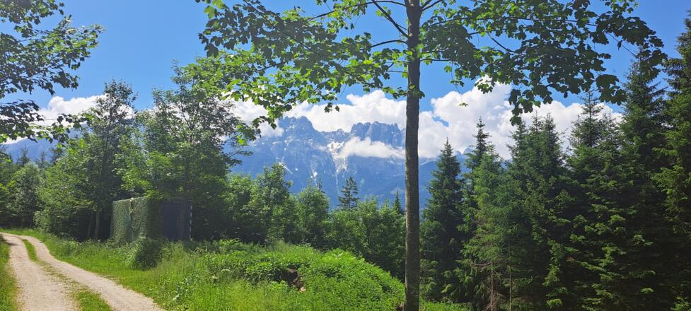 Schöne Aussicht auf die Lienzer Dolomiten...