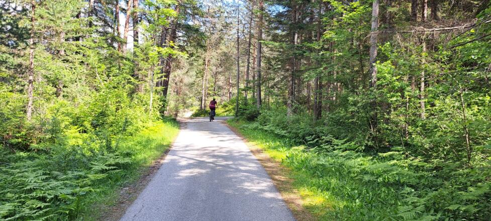 Über den Radweg weiter nach Sachsenburg...