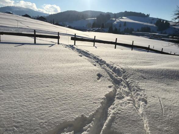 Fewo „Auszeit“ Direkter Zugang zur Langlaufloipe