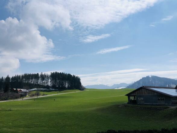 Fewo „Morgensonne“ Sicht gen Sonnenaufgang