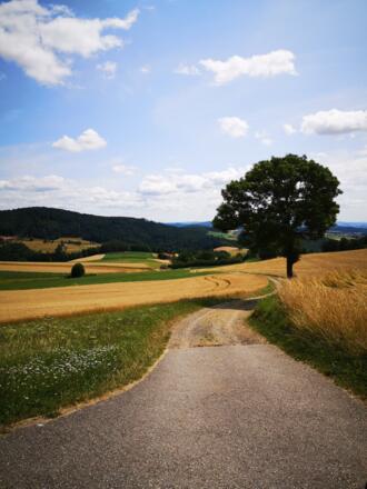 MTBrundumFreistadtStOswald_Franz Kern (5)