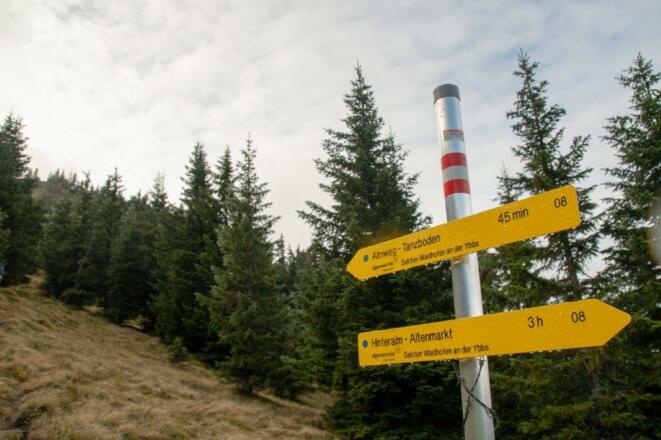 immer der Markierung nach