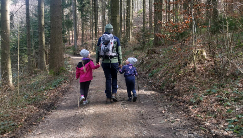 Ameisenweg