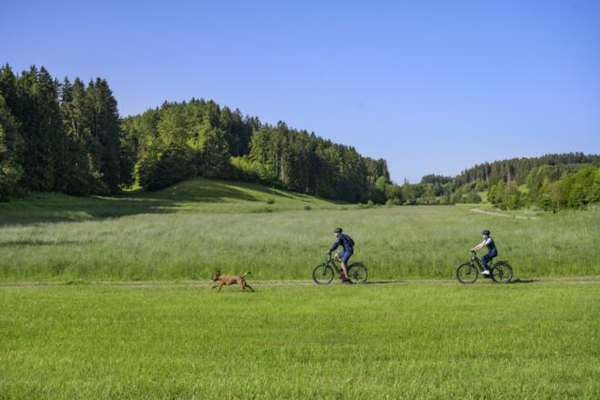 Radeln in himmlischer Natur bei Friesenried