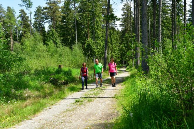 Der "Veichterwald" - die grüne Lunge Hagenbergs