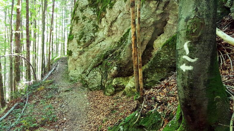Das große L weist den Weg den Berg hinauf