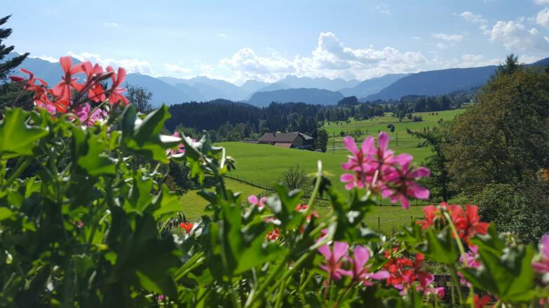 Blick vom Balkon