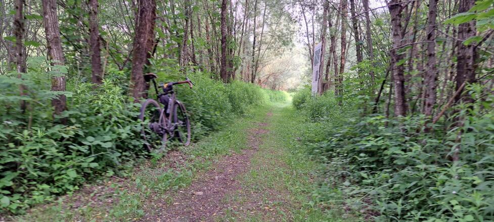 Der flowige Trail durch die Drauauen, kurz vor Rosenheim...