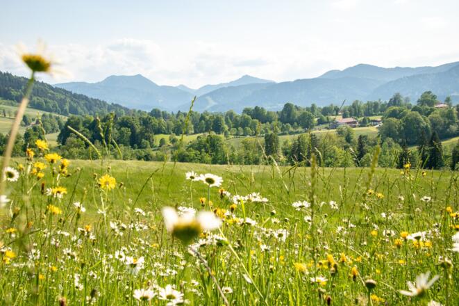 Blick in Richtung Schlierseer Berge
