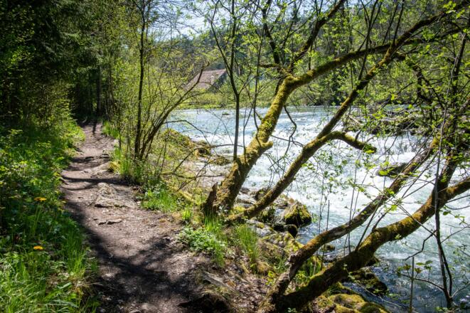 Wanderweg an der Mangfall