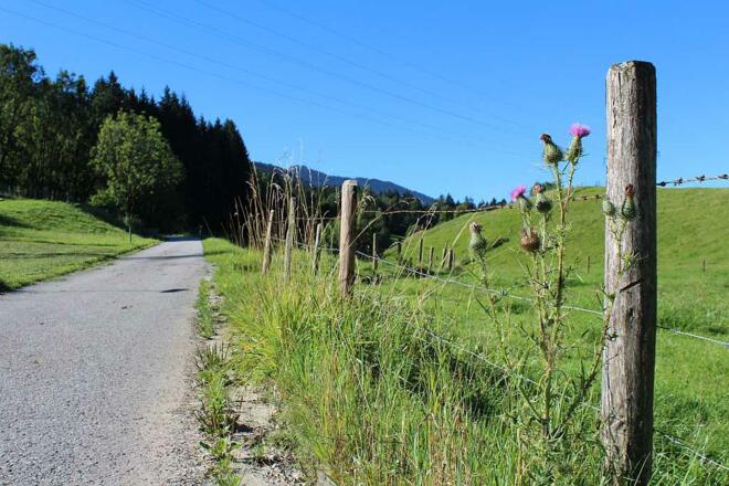 Höhenweg bei Mariabrunn