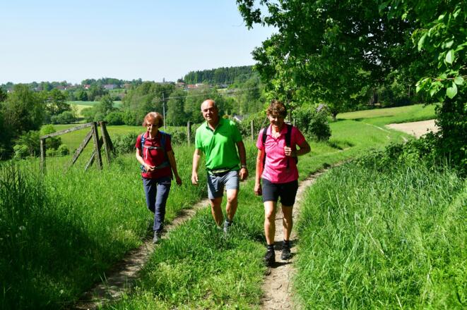 Auf Wiesen- und Waldwegen in Richtung Schmidsberg