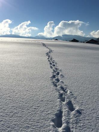 Ich bin dann mal weg u. mache Urlaub bei Fam. Heim