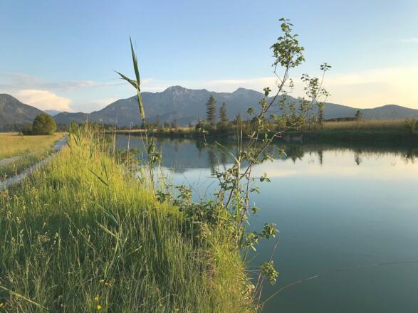 Loisach mit Herzogstand und Heimgarten