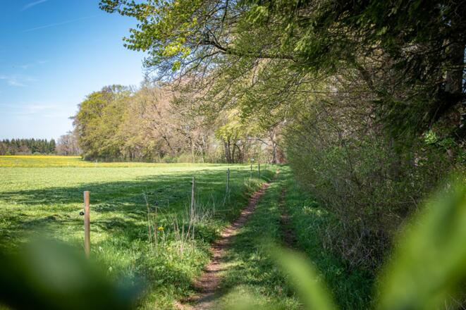 Wanderweg bei Hohendilching