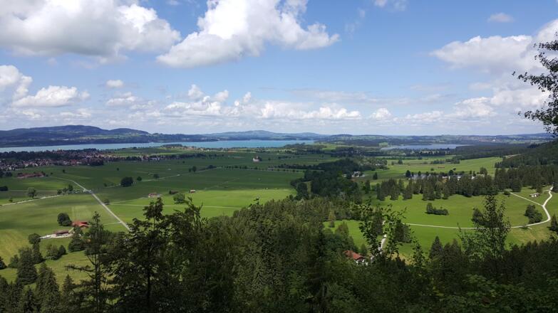 Blick vom Schloss Hohenschwangau