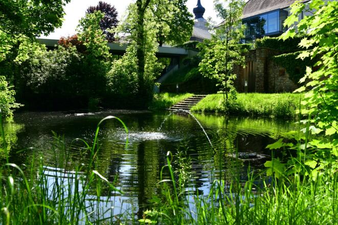 Der wunderschöne Schloßpark mit dem Schloßteich lädt immer zum Verweilen ein.