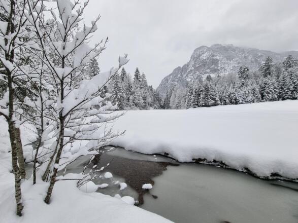 Reschbergwiesen im Winter