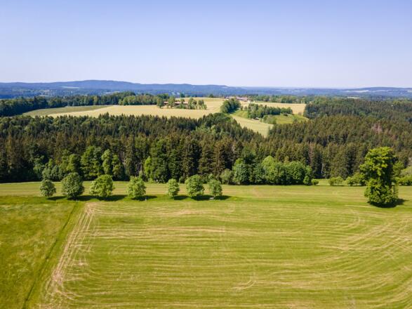 Blick Richtung Norden