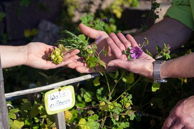 05_Sonnenklause©HeimatUnternehmen©Johanna_Zach