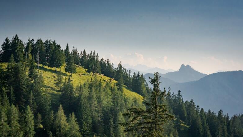 Bergblick in Richtung Süden