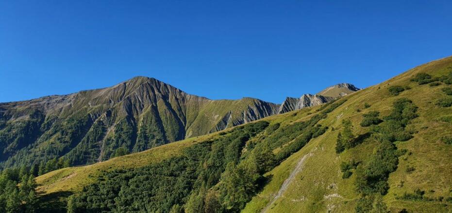 hier sieht man schon unser erstes Ziel zuvor muss aber diese sehr steile Wiese gequert werden. Hier muss man sehr konzentriert steigen, vor allem Kinder sollen hier nicht ohne Aufsicht sein oder laufen.
