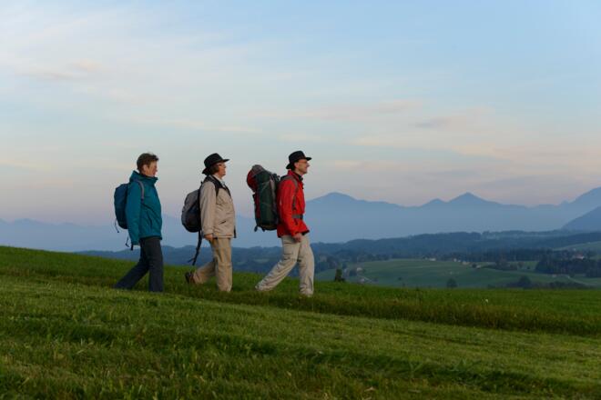 Alpenblick-Wanderung