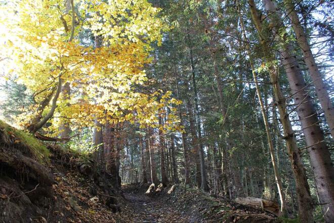 Weg bei Bavaria Hütte