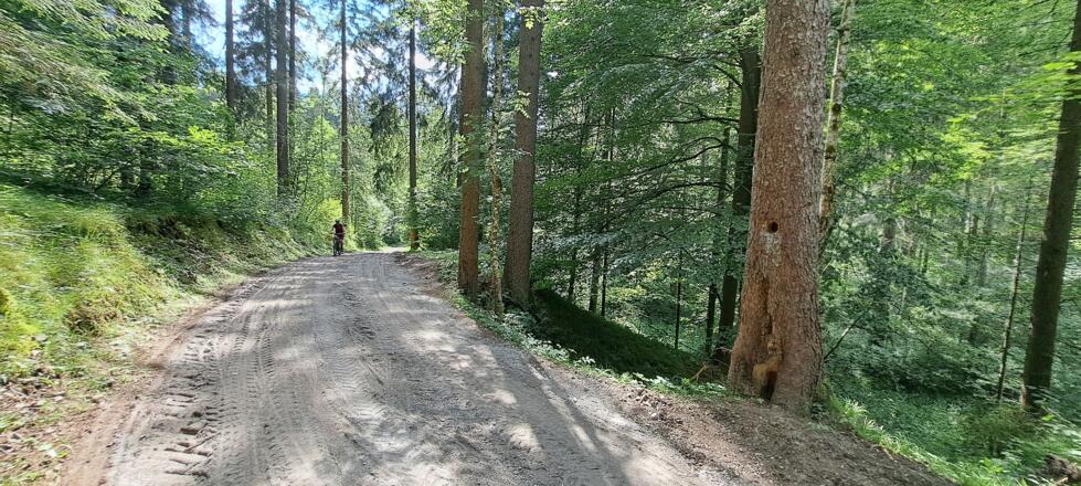 Durch märchenhafte Wälder...