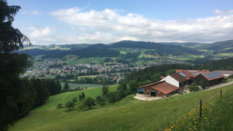 Blick auf St. Oswald bei Freistadt entlang der Mountainbike Runde 1