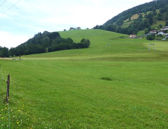 Keine Orientierungsprobleme am sanften Naglköpfl.