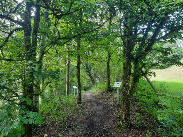 Biotop Rosenegg mit Infotafeln