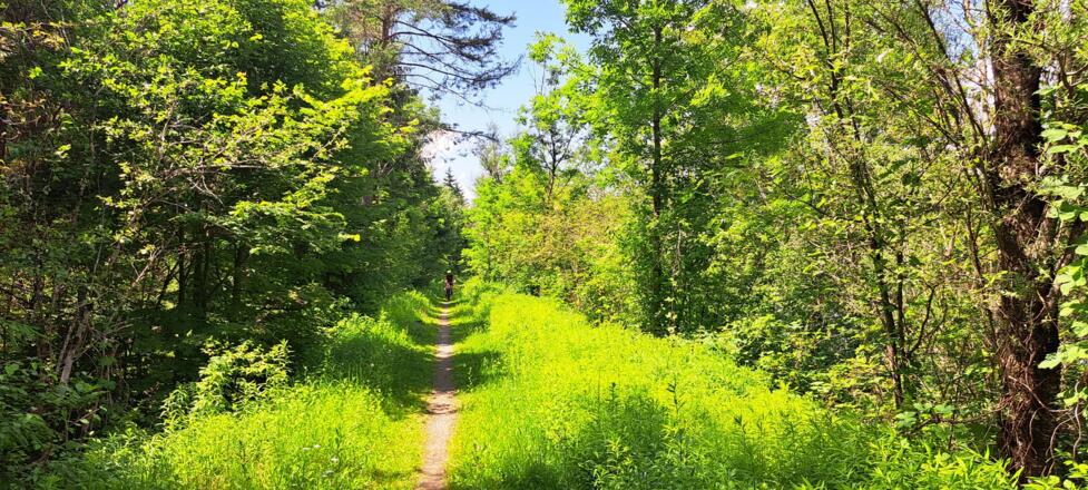 Der außerordentlich geniale Single-Trail von Tristach bis nach Unterpirkach...