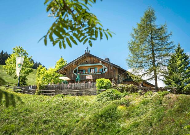 Almwirtschaft Gindelalm