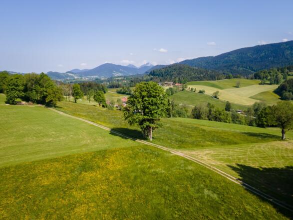 Blick Richtung Wendelstein