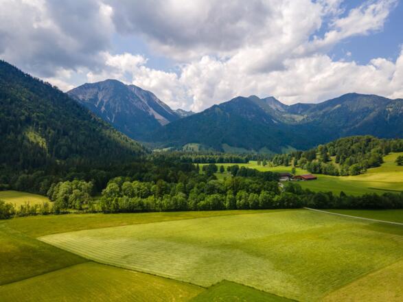 Blick auf Miesing und Aiplspitz