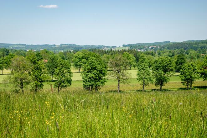Blick auf den Stadlberg