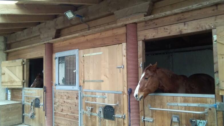 RockySlopeRanch-Pferdeboxen