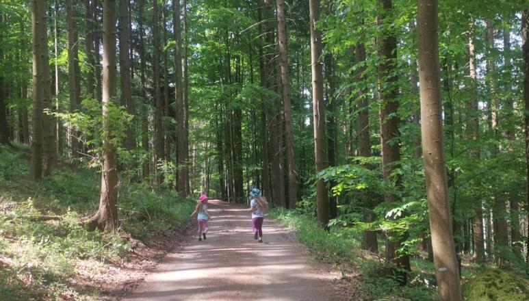 Ameisenweg Kaltenberg Kinderwanderweg