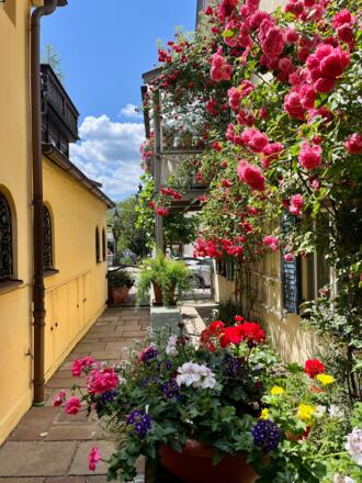 Herzlich Willkommen in der FeWo Rosenstraße