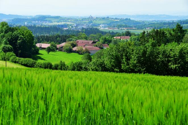 Weitsicht: Blick nach Hagenberg und Wartberg