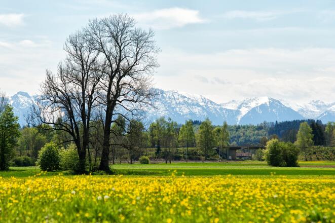 Blick in die Berge aus der Weilheimer Ammer Au
