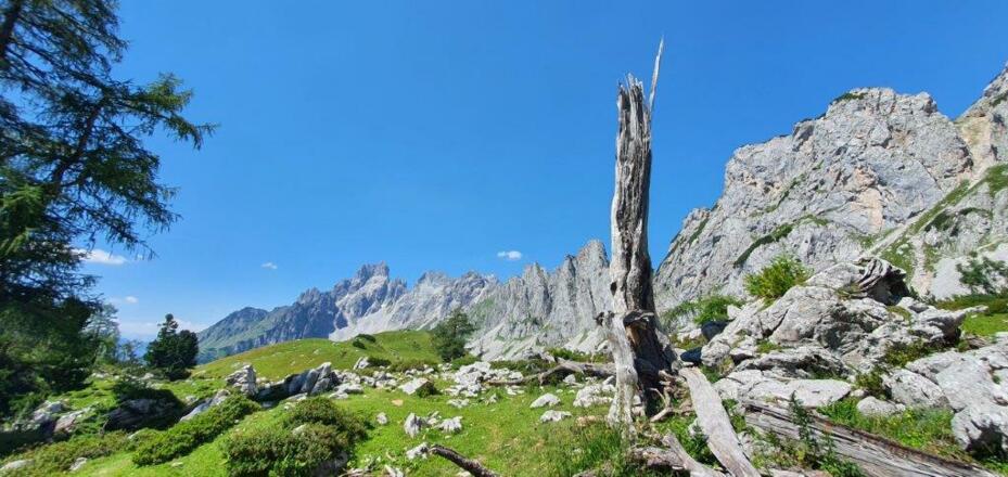 Herrliche Landschaft mit einem angenehmen Weg.