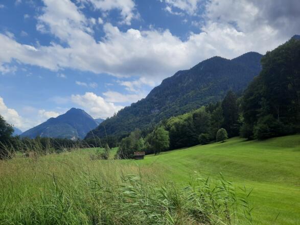 Ausblick auf dem Rückweg Richtung Ortszentrum