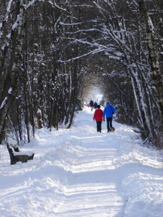 Winterwanderweg in der Kendlmühlfilze